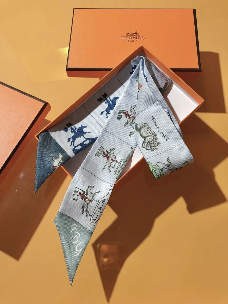 Supportive Hermes Silk 272529