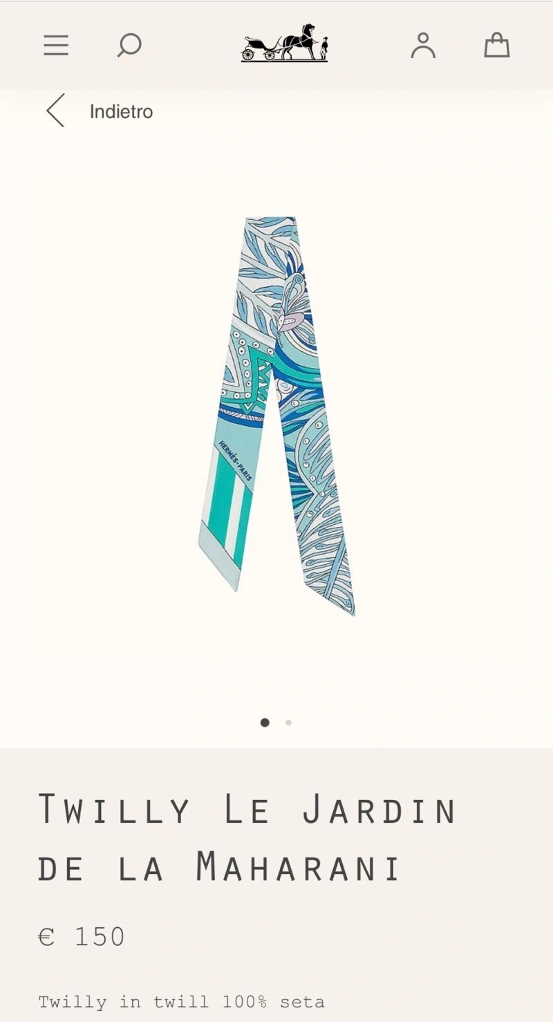 EyeCatching Hermes Silk 272520