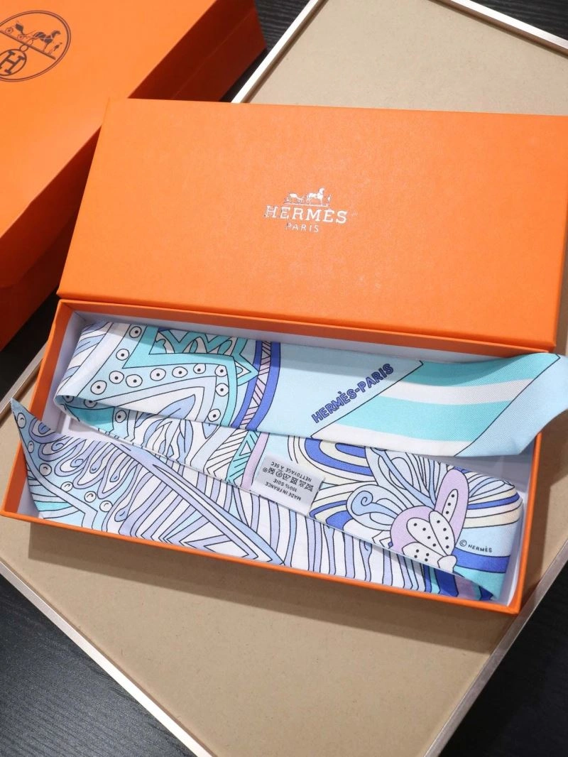 EyeCatching Hermes Silk 272520