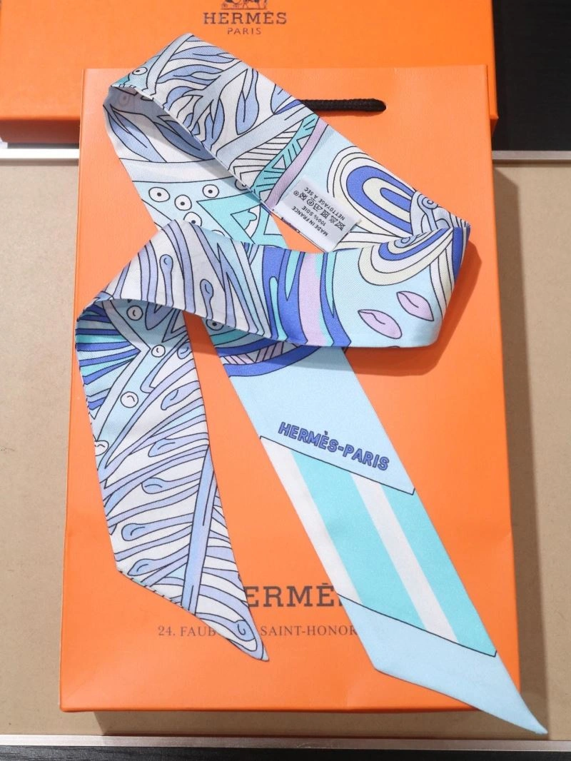 EyeCatching Hermes Silk 272520