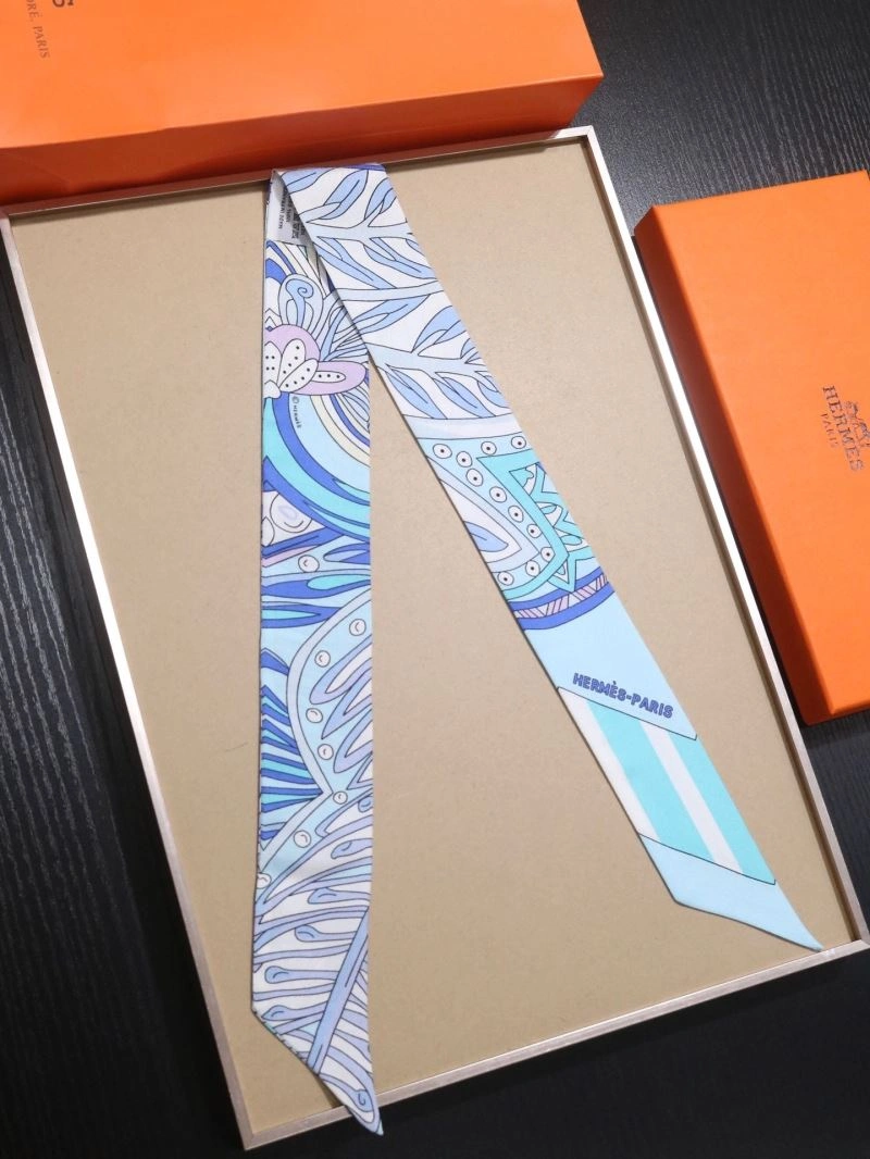 EyeCatching Hermes Silk 272520