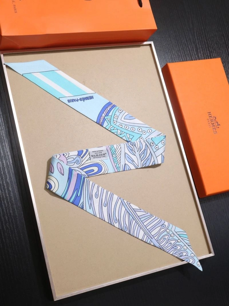 EyeCatching Hermes Silk 272520