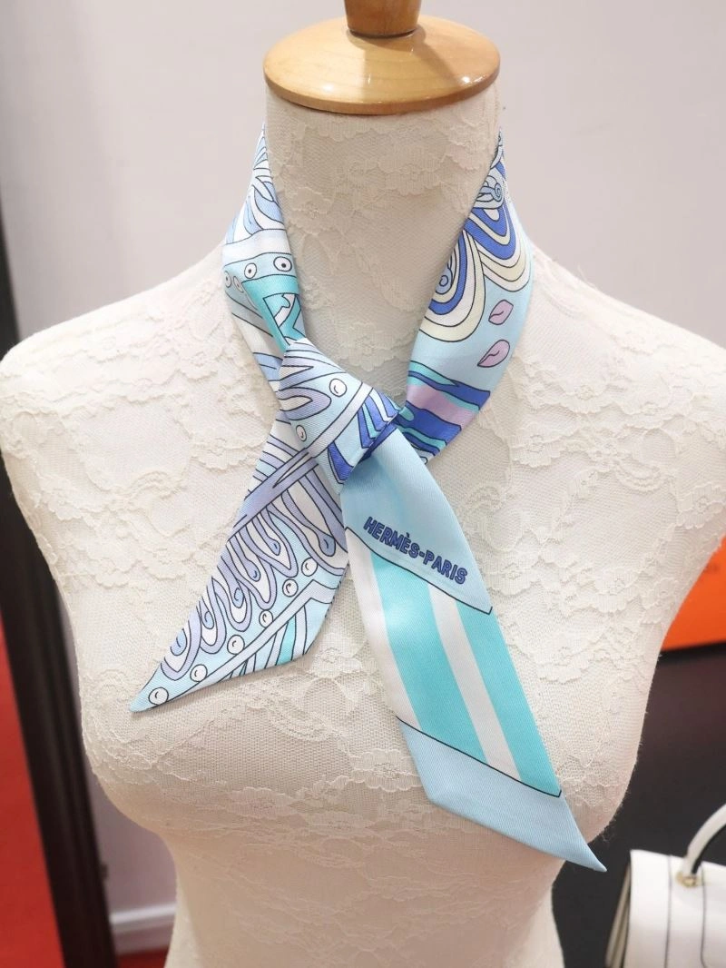 EyeCatching Hermes Silk 272520
