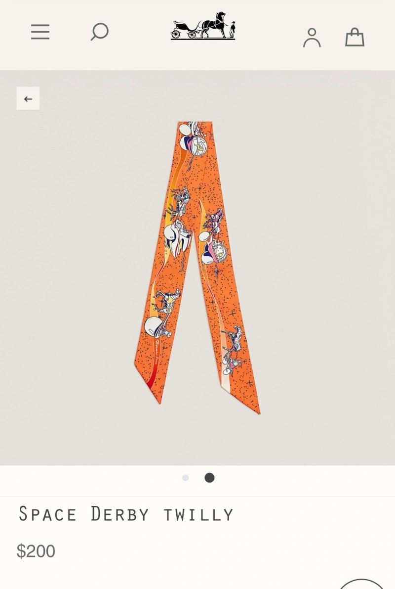 Casual Hermes Silk 272521