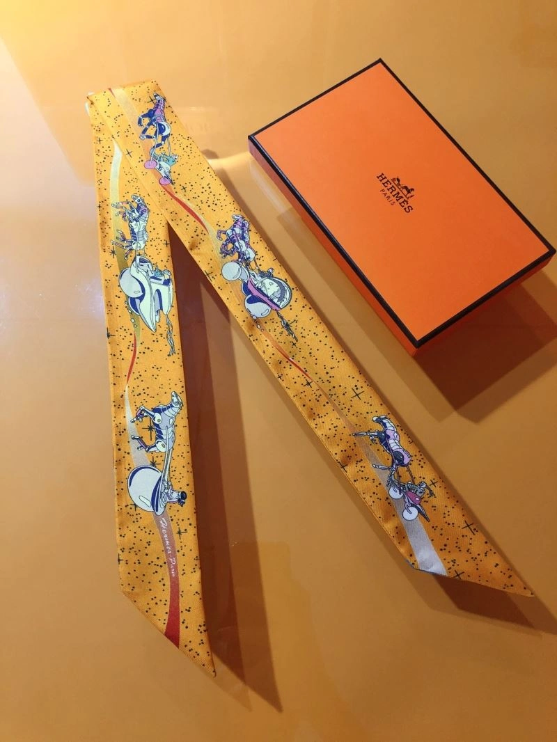 Casual Hermes Silk 272521