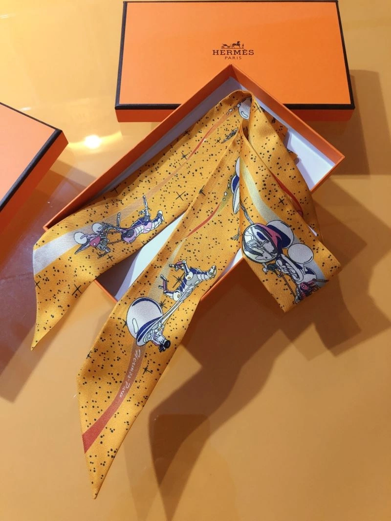 Casual Hermes Silk 272521