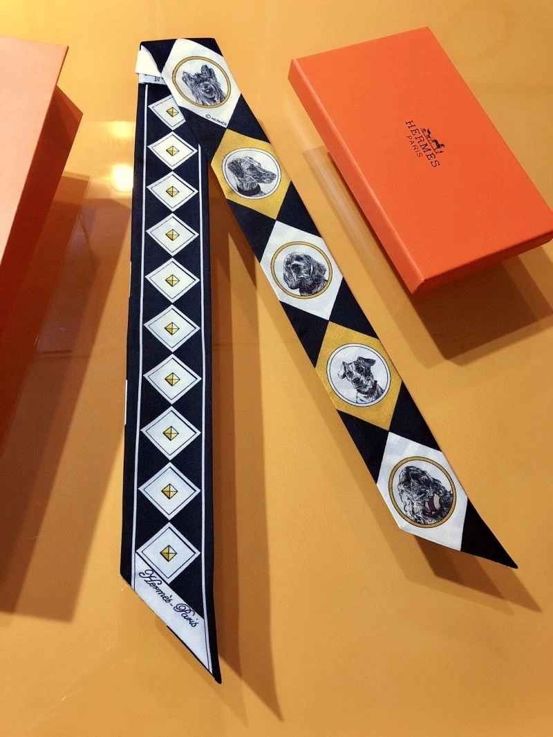 Hermes Silk Bright 272513