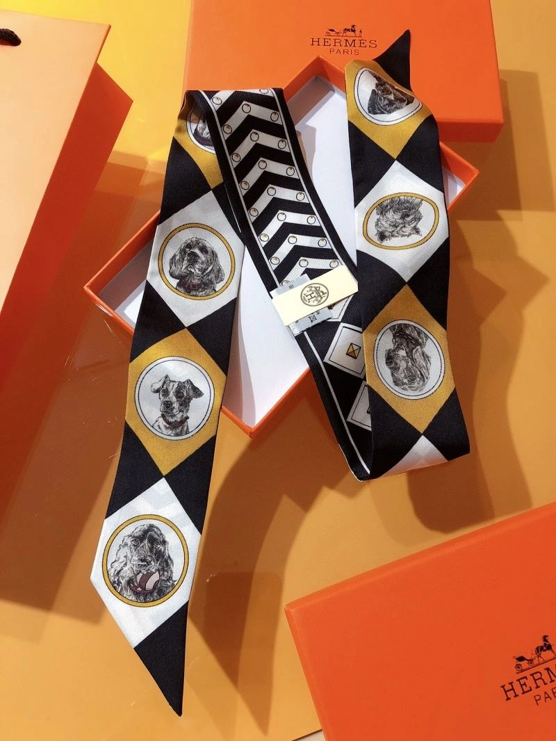 Hermes Silk Bright 272513