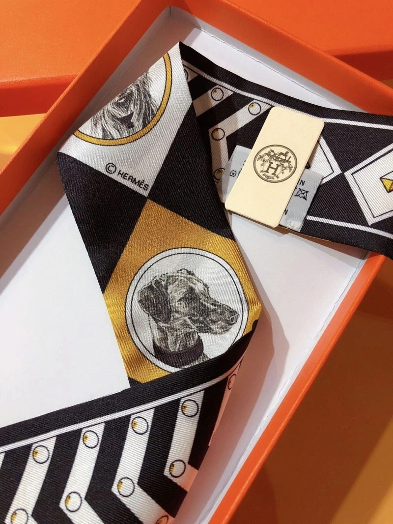 Hermes Silk Bright 272513