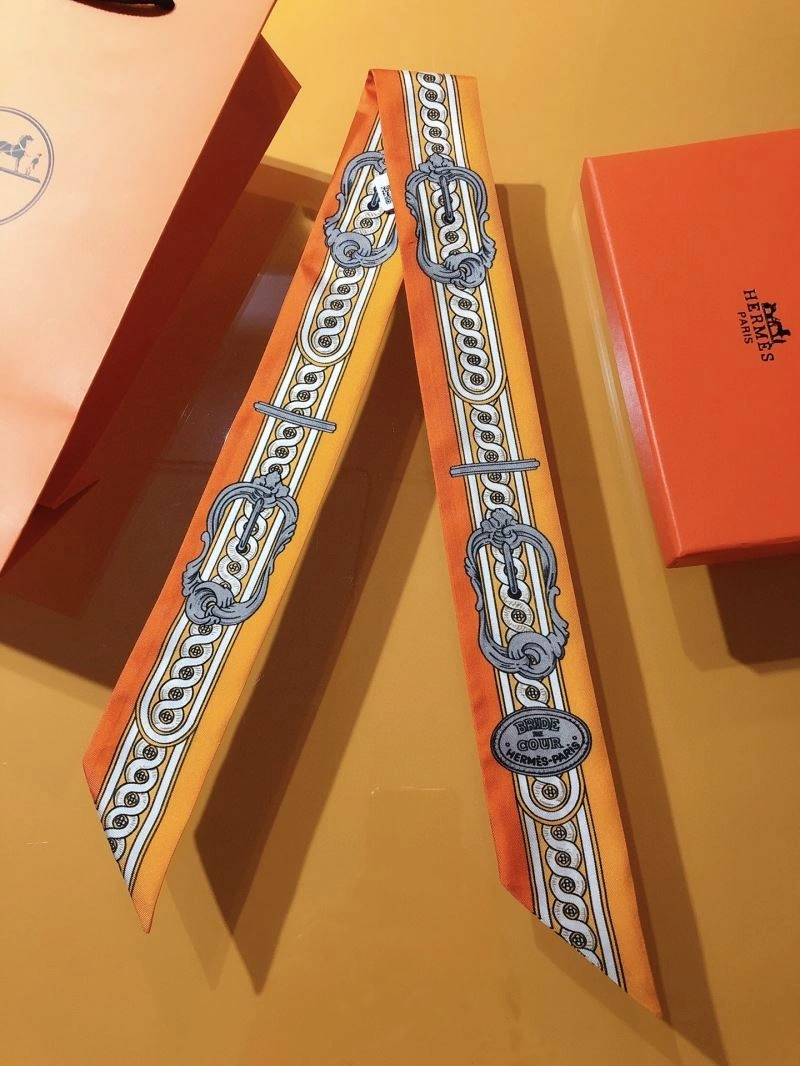 Hermes Silk WaterResistant 272508