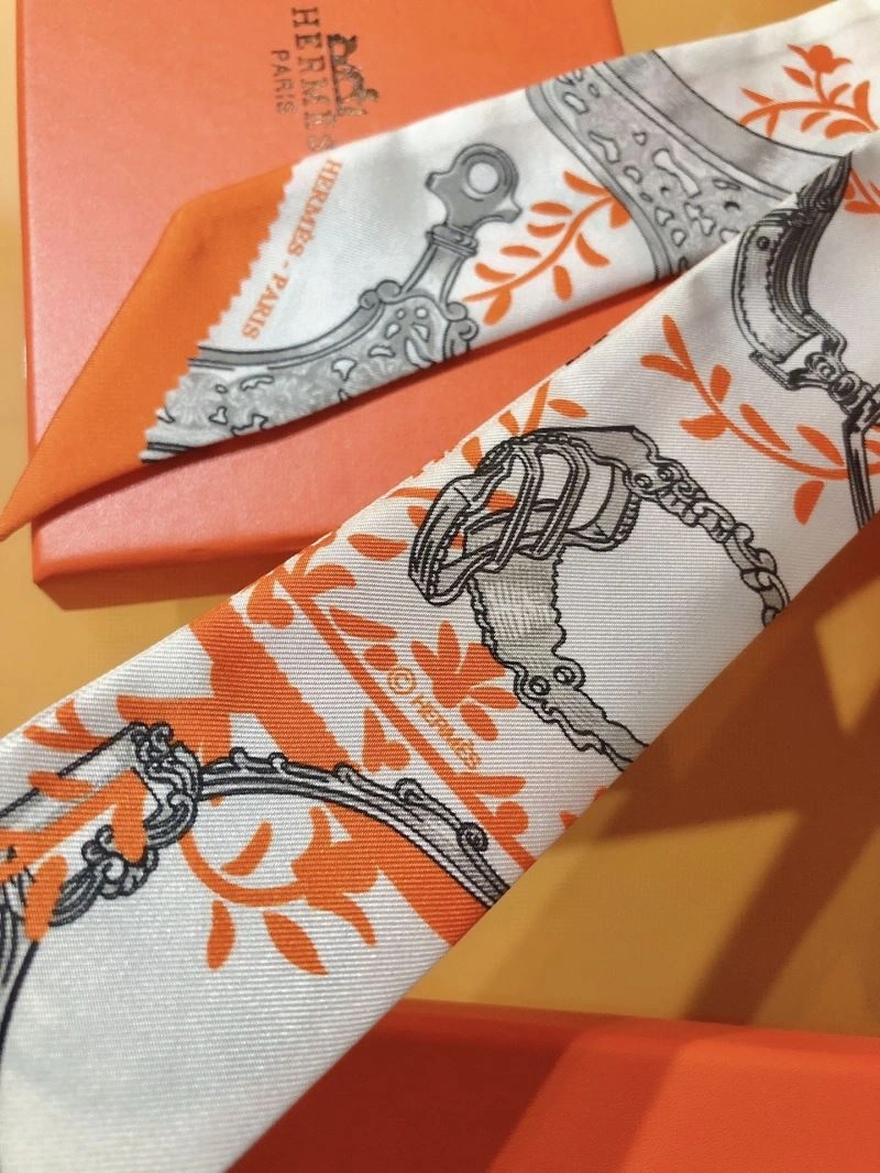 Classic Hermes Silk 272507