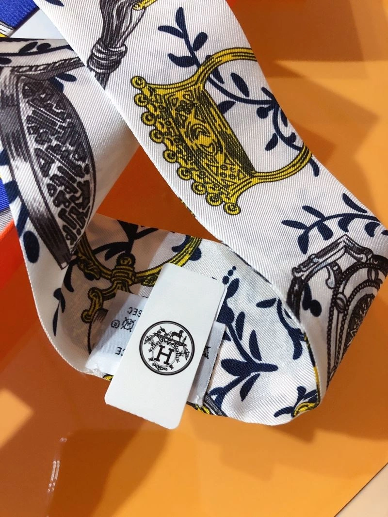 Hermes Silk Vibrant 272497