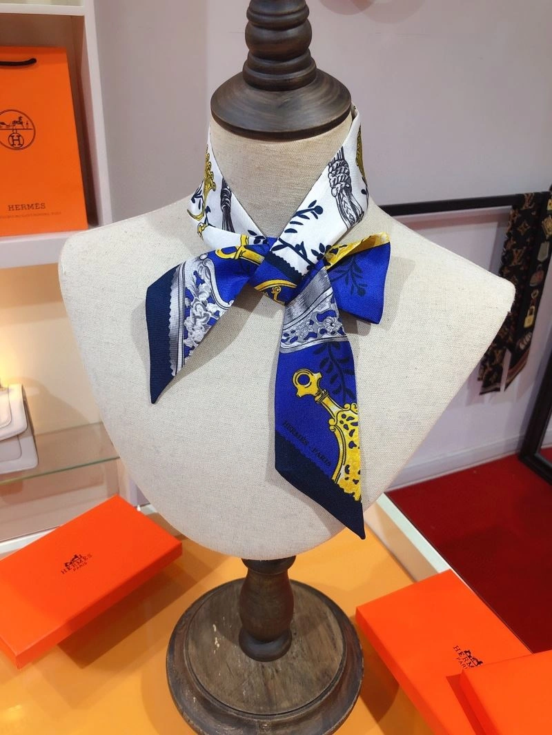 Hermes Silk Vibrant 272497