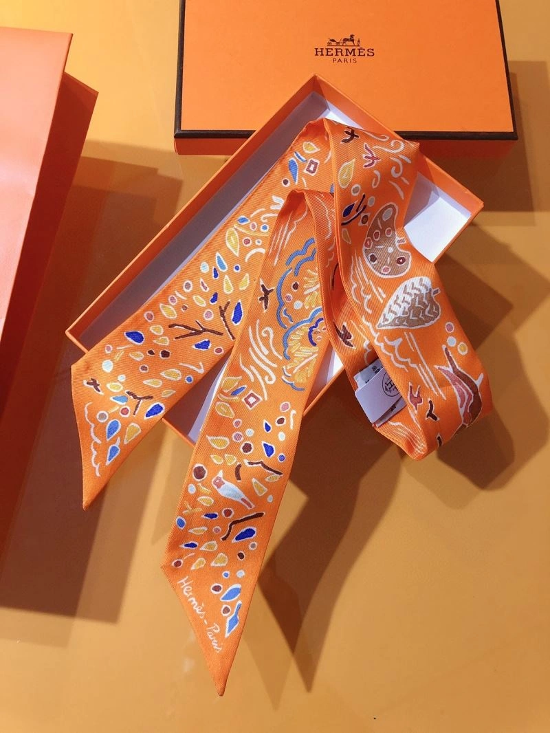 Hermes Silk WeatherProof 272517