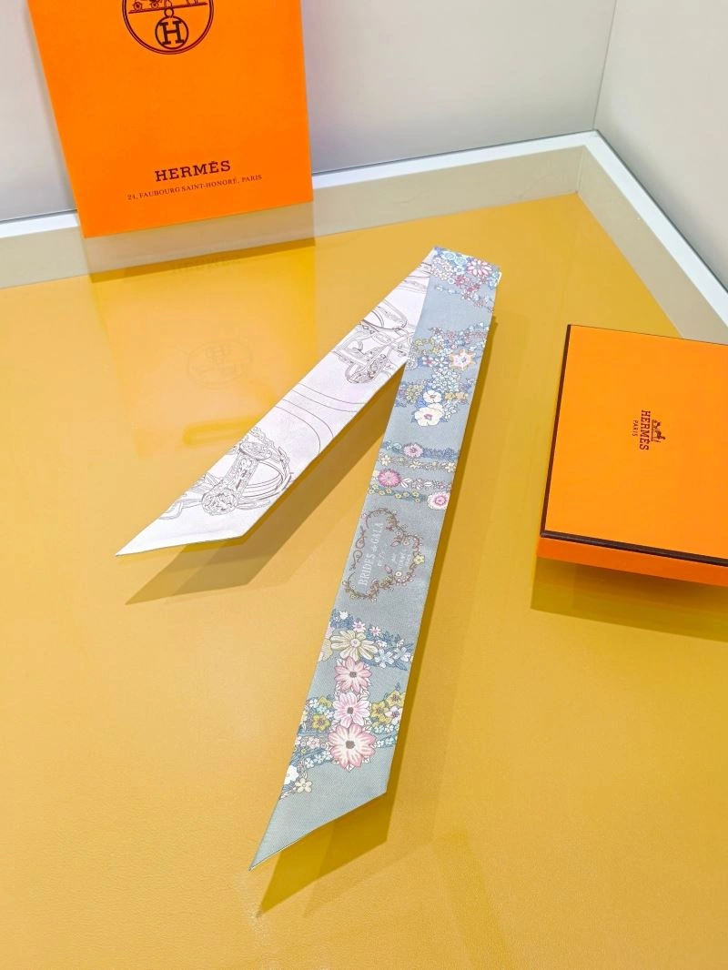 Hermes Silk Sleek 272494