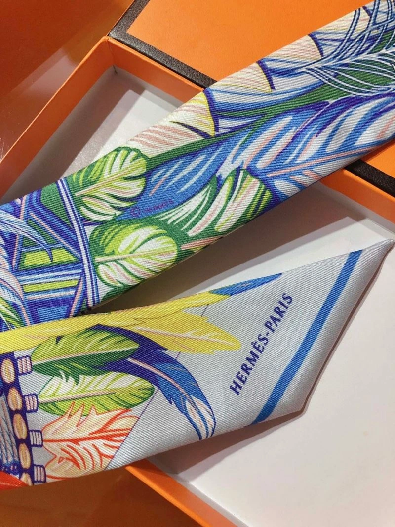 Hermes Silk Premium 272467