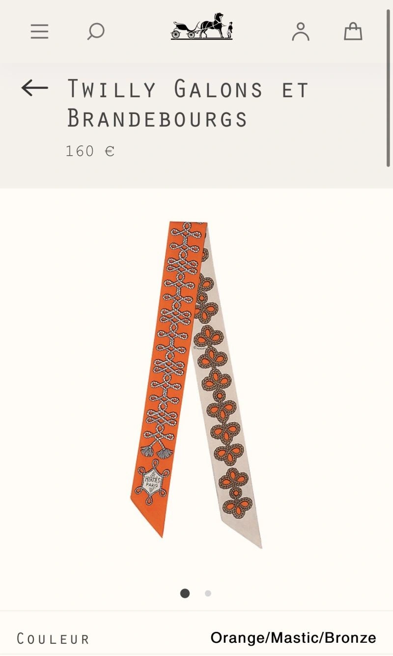 Hermes Silk MultiPurpose 272489