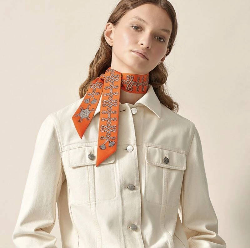 Hermes Silk MultiPurpose 272489