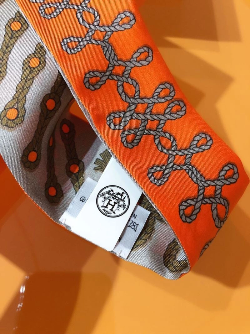 Hermes Silk MultiPurpose 272489