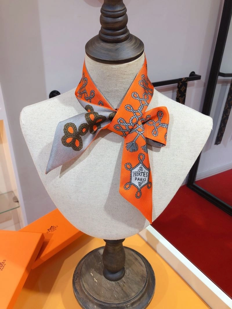 Hermes Silk MultiPurpose 272489