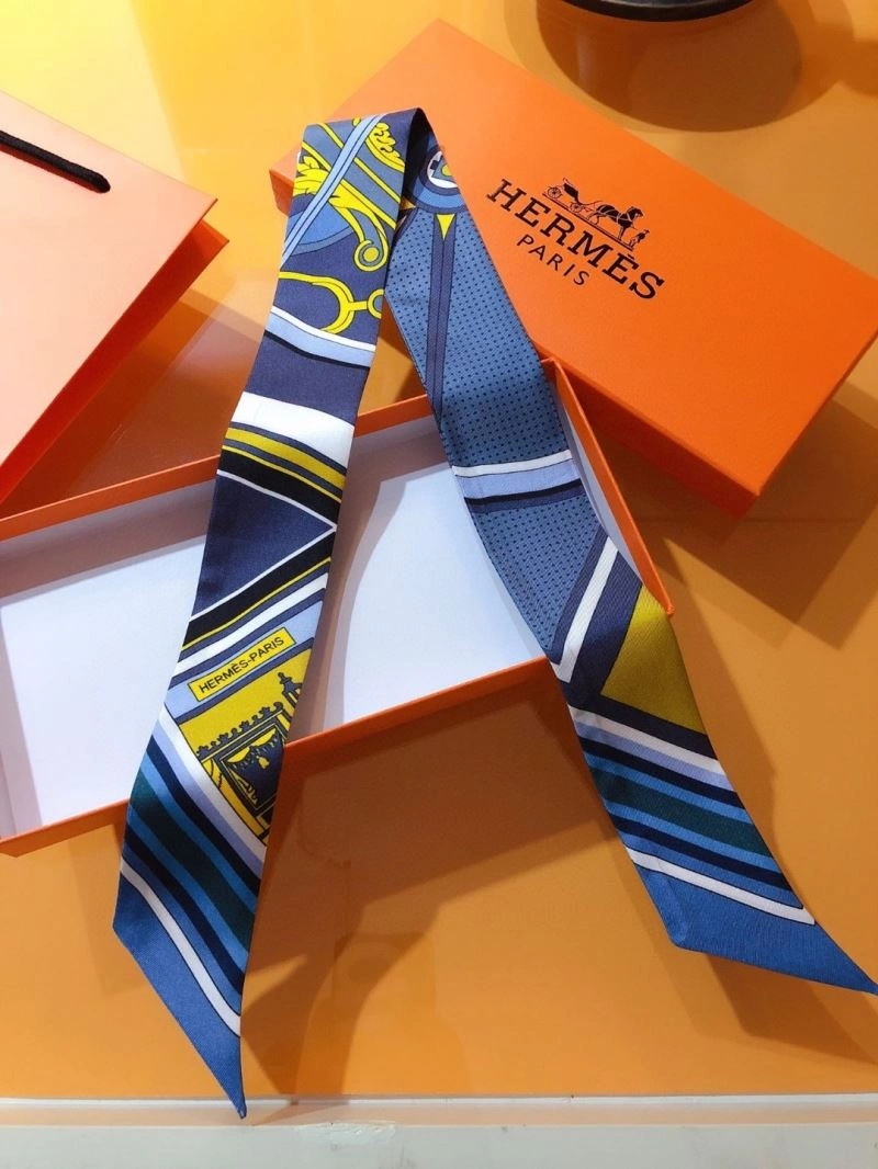 Hermes Silk HighPerformance 272487