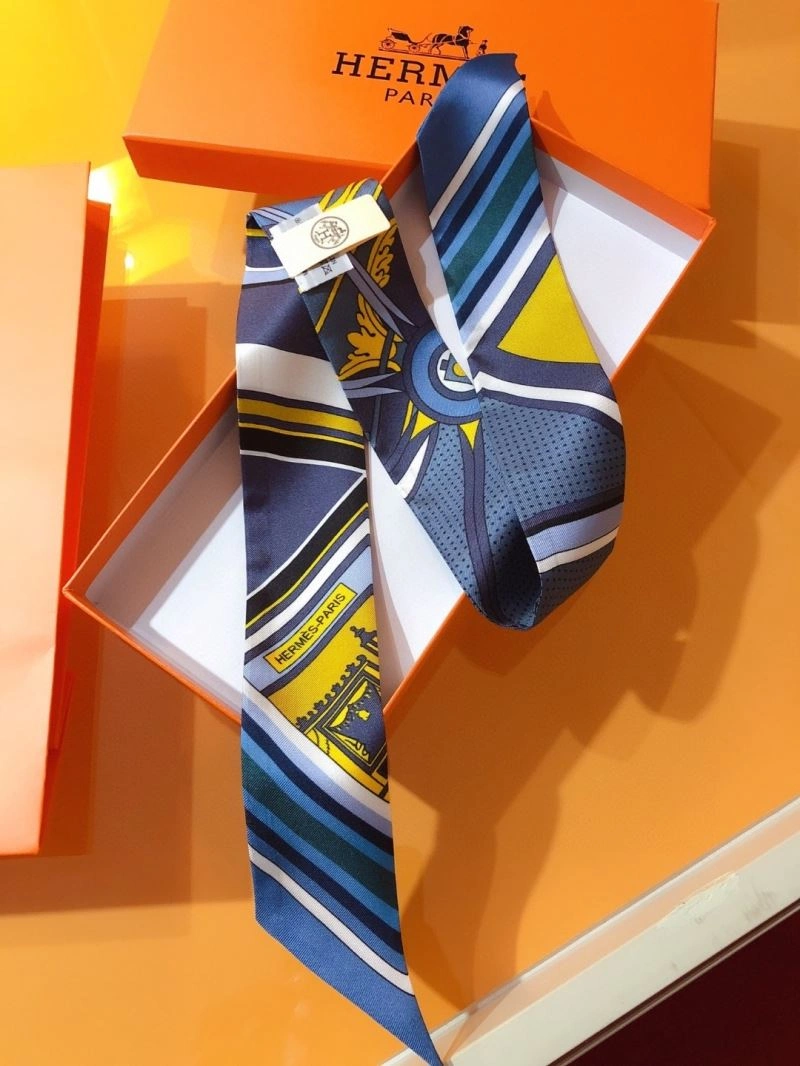 Hermes Silk HighPerformance 272487
