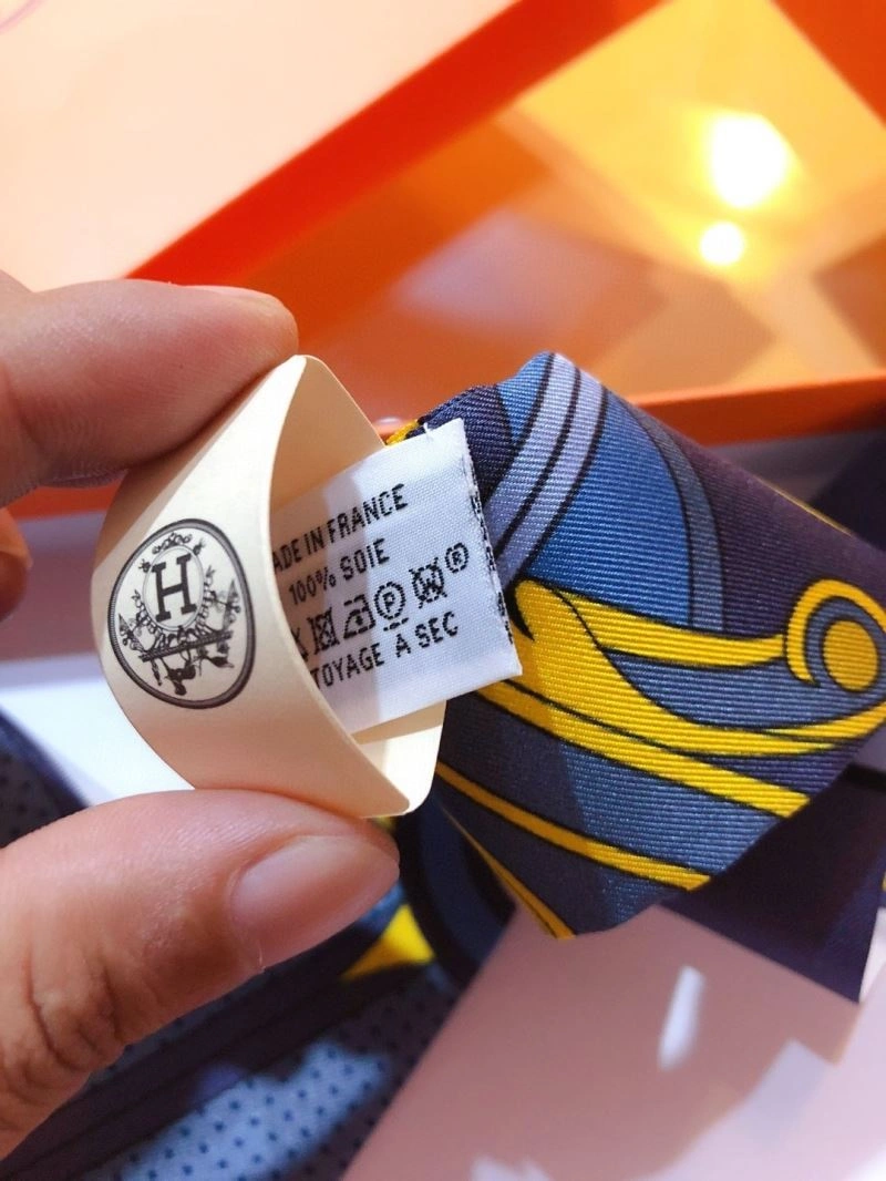 Hermes Silk HighPerformance 272487