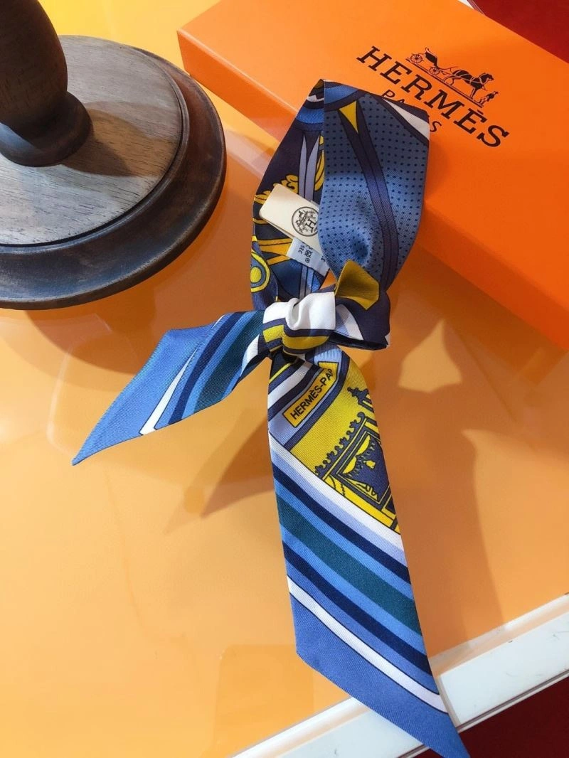 Hermes Silk HighPerformance 272487