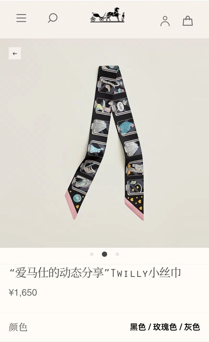 Hermes Silk Colorful 272479