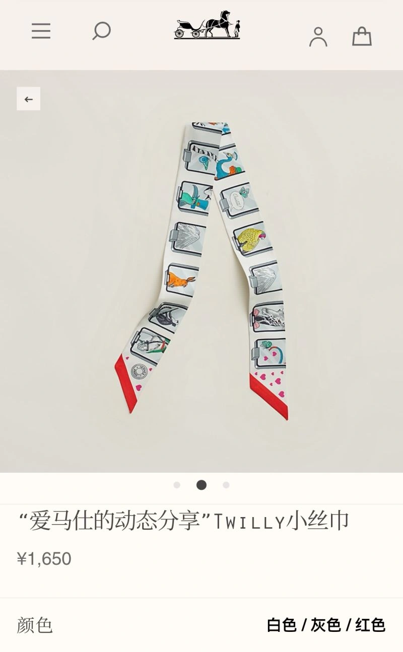Hermes Silk Casual 272468