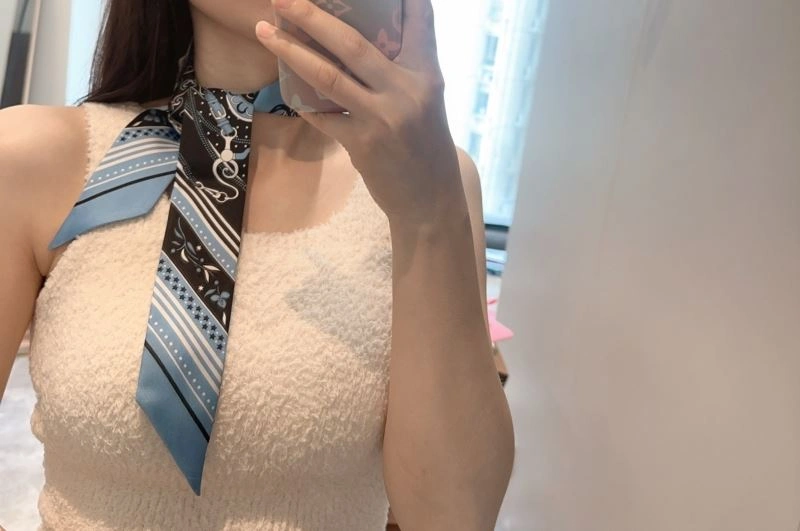 DailyWear Hermes Silk 272896