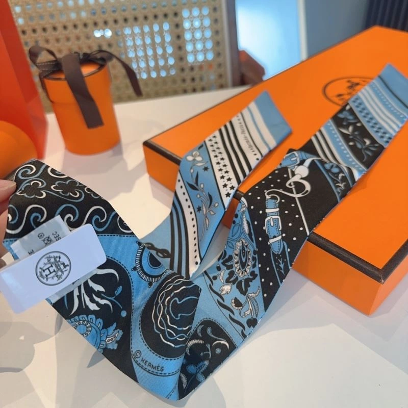 DailyWear Hermes Silk 272896