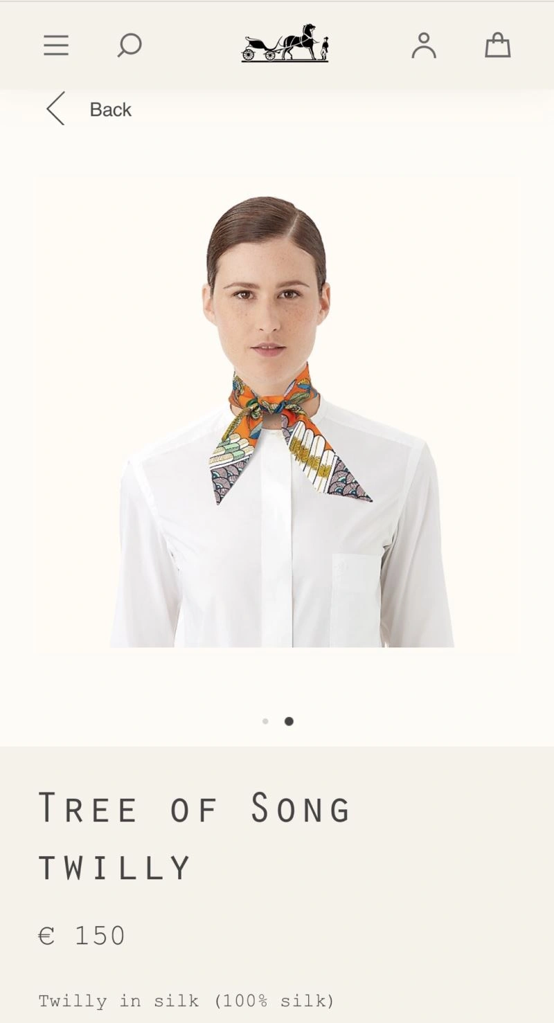 Hermes Silk Vibrant 272894