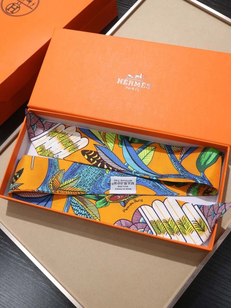 Hermes Silk Vibrant 272894