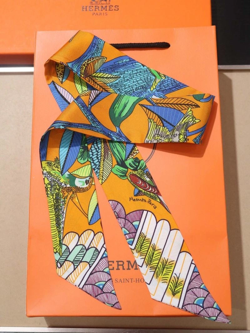 Hermes Silk Vibrant 272894