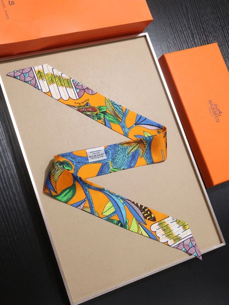 Hermes Silk Vibrant 272894