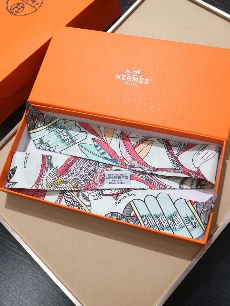 Hermes Silk EasyCare 272891
