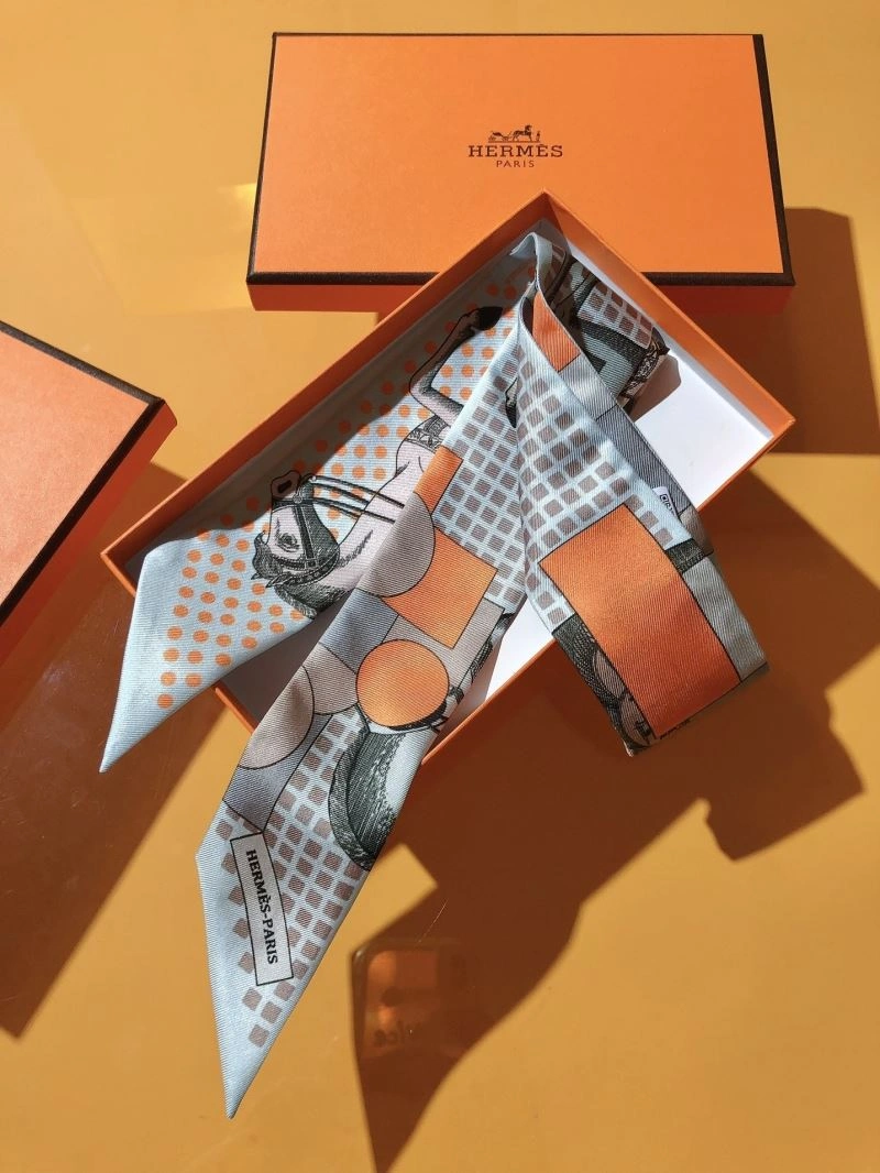 Hermes Silk ComfortFit 272863
