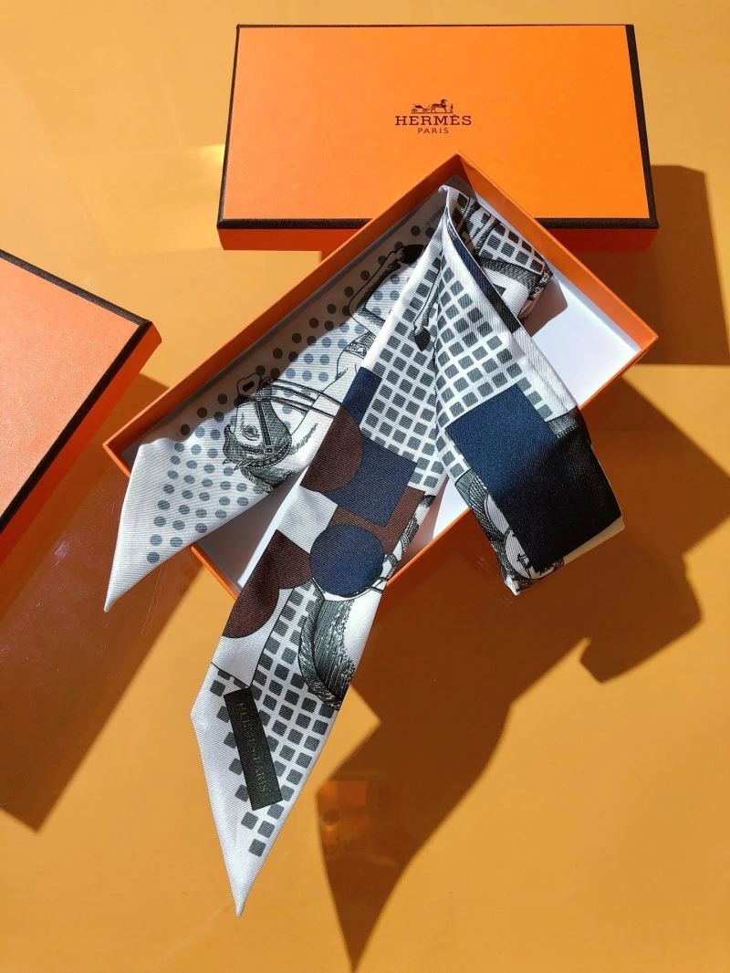 Hermes Silk Bright 272871