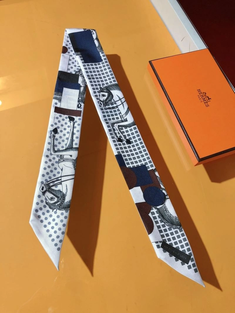 Hermes Silk Bright 272871