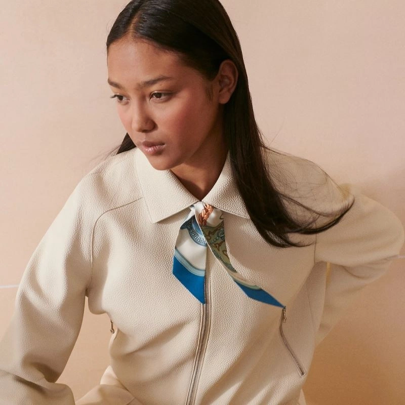 Contemporary Hermes Silk 272870