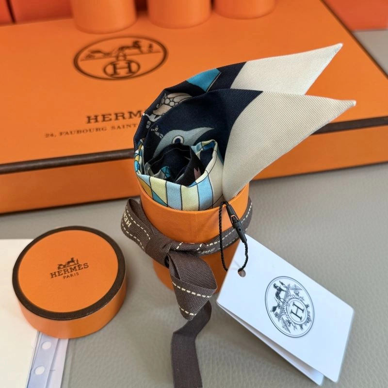 Hermes Silk WeatherProof 272859