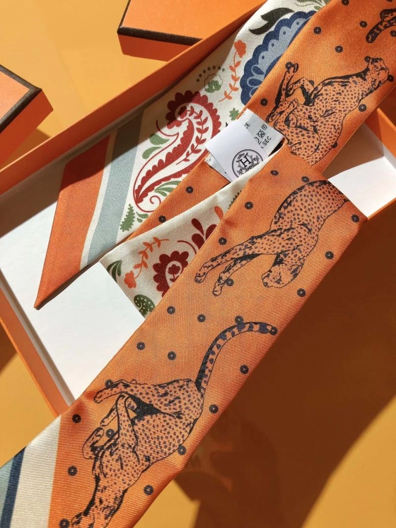 Hermes Silk EyeCatching 272834