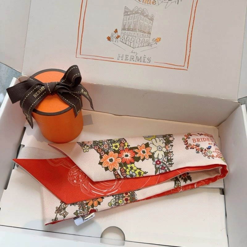 Hermes Silk Sophisticated 272842