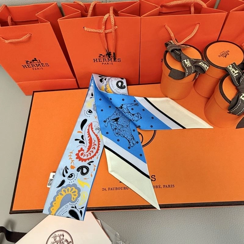 Hermes Silk DailyWear 272837