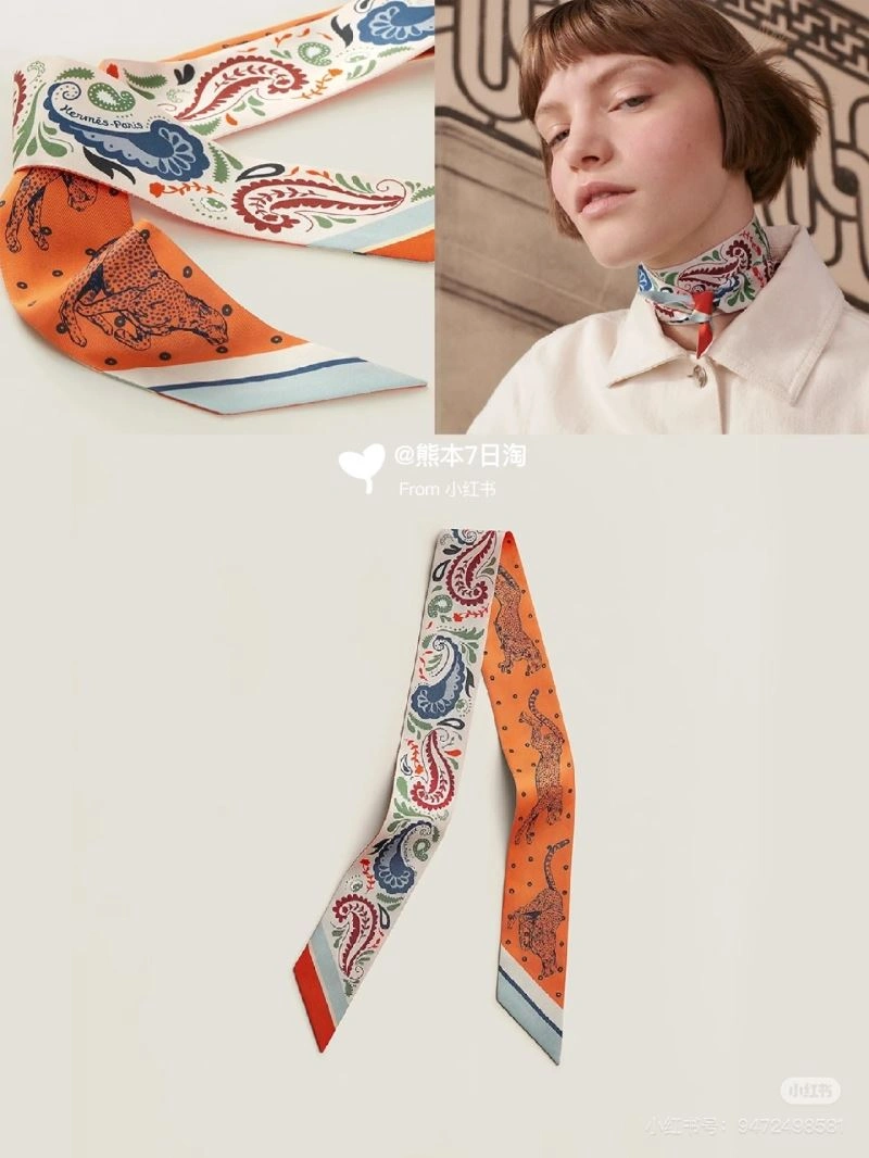 Hermes Silk Efficient 272839