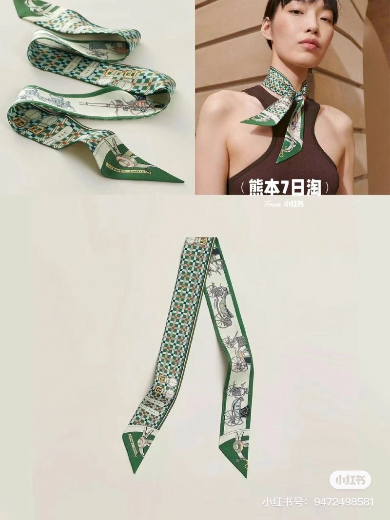 Colorful Hermes Silk 272841