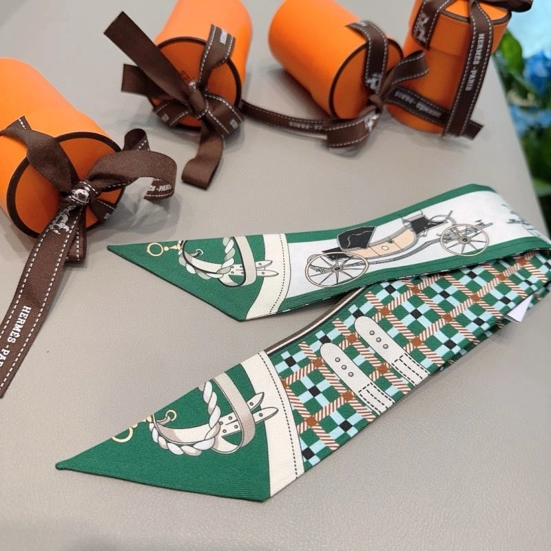 Colorful Hermes Silk 272841