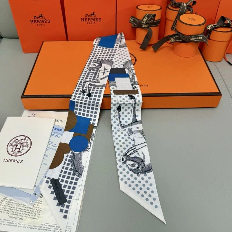 Hermes Silk TechFriendly 272815