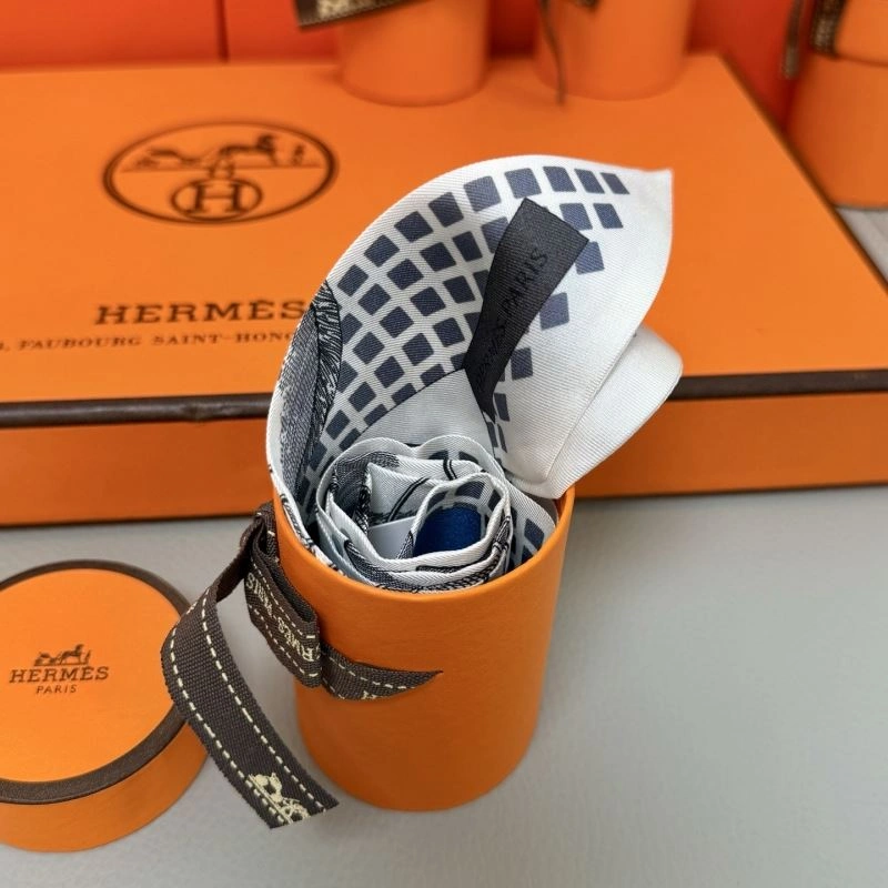 Hermes Silk TechFriendly 272815